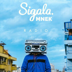 Radio Chords by Sigala