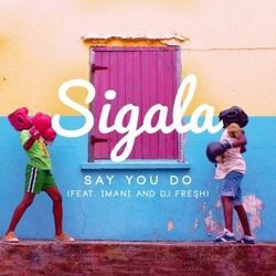 Say You Do by Sigala