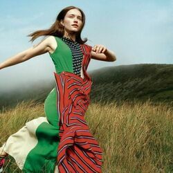 Last To Know Chords by Sigrid