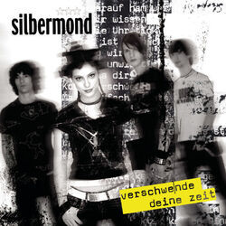 Verschwende Deine Zeit Chords by Silbermond