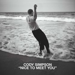 Nice To Meet You by Cody Simpson