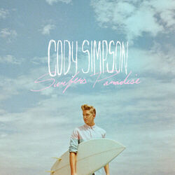 Summertime Of Our Lives by Cody Simpson