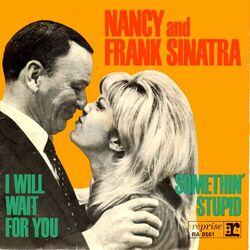 Something Stupid  by Frank Sinatra