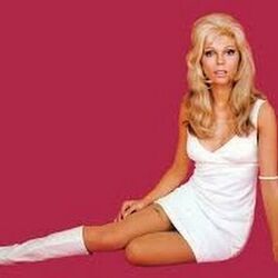 Bang Bang My Baby Shot Me Down  by Nancy Sinatra