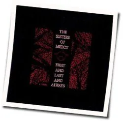 Some Kind Of Stranger Tab by The Sisters Of Mercy