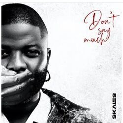 Don't Say Much Chords by Skales