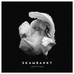 En Av En Million Chords by Skambankt