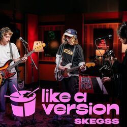 If It Makes You Happy Live Chords by Skegss