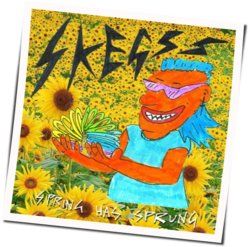 L.S.D Chords by Skegss