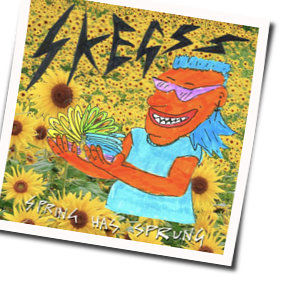 Spring Has Sprung Chords by Skegss