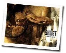 What I Believe Tab by Skillet