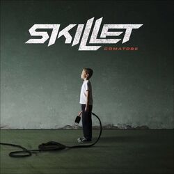 Falling Inside The Black Bass tabs by Skillet
