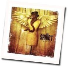 Older I Get Acoustic Chords by Skillet
