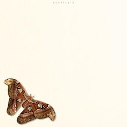 Today I Woke Up Chords by Skulltalk
