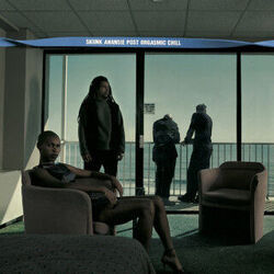 I'm Not Afraid Chords by Skunk Anansie