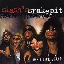 Landslide by Slashs Snakepit