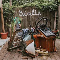 Acolyte Ukulele Chords by Slaughter Beach, Dog