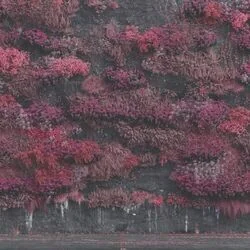 Dangerous Chords by Sleep Token