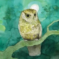 Slow And Steady Ukulele Chords by Sleeping At Last