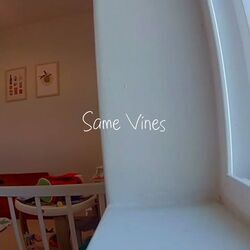 Same Vine Chords by Slimdan