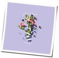 People Pleaser Chords by Slingshot Dakota