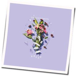 People Pleaser Chords by Slingshot Dakota