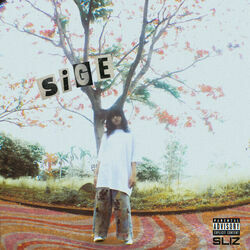 Sige Chords by Sliz