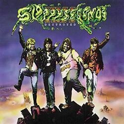 Veronica Acoustic Live Chords by Sloppy Seconds