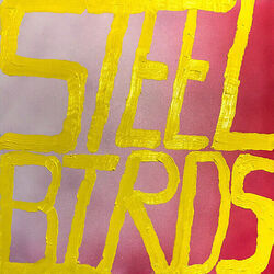 Steel Birds Chords by Slow Pulp