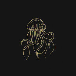 Jellyfish by Slowly Slowly