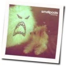 Dreaming Chords by Smallpools