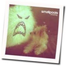 Dreaming by Smallpools