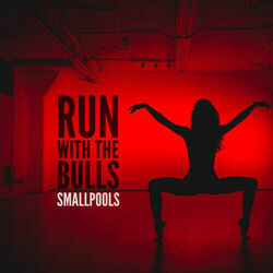 Run With The Bulls by Smallpools