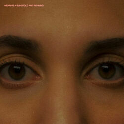 Fight Or Flight Chords by Elyssa Smith