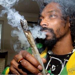 Smoke Weed Everyday by Snoop Dogg