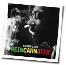 The Good Good Chords by Snoop Lion