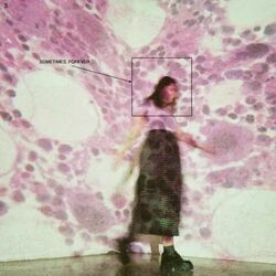 Fire In The Driveway Chords by Soccer Mommy