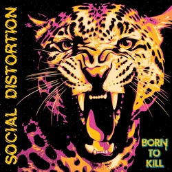 No Way Out Chords by Social Distortion