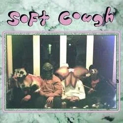 Sea Dogs And Pyrite Chords by Soft Cough