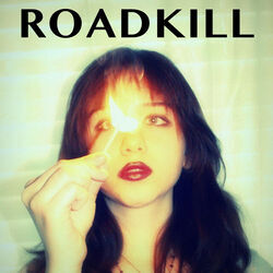 Roadkill Chords by Solya