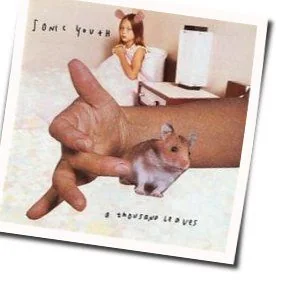 Sunday Chords by Sonic Youth