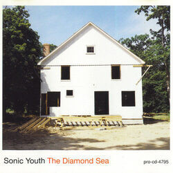 The Diamond Sea Bass tabs by Sonic Youth