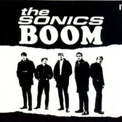 Shot Down Tab by The Sonics
