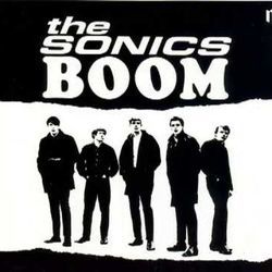 Shot Down Tabs by The Sonics