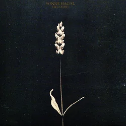 Memory Hither Come Chords by Sonne Hagal