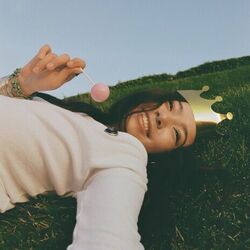 Signals by Sophia Center