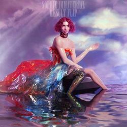 Immaterial Chords by SOPHIE