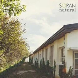 What If Chords by Soran