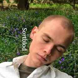 Det Mindste Træ I Skoven Chords by Sortblod