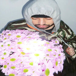 Chrysanthemen Intro by Souly